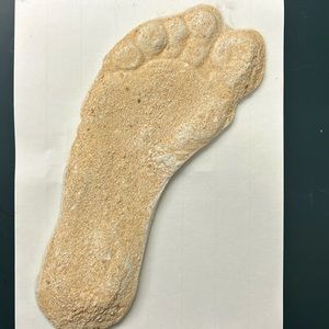 Genuine Bigfoot Plaster Foot Casting